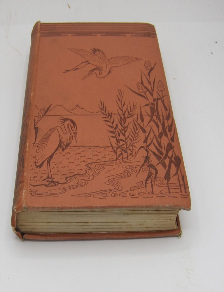 Vignettes From Nature. GRANT ALLEN.